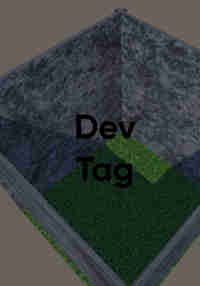 Dev Tag