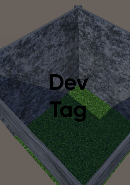Dev Tag