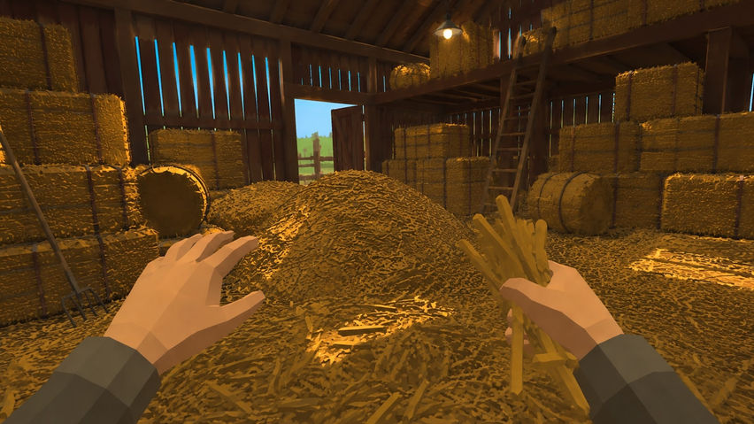 Needle In A Haystack