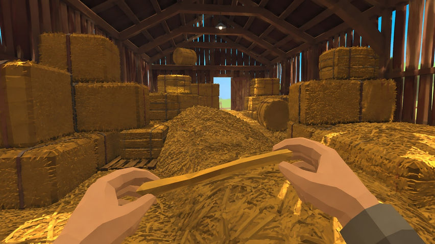 Needle In A Haystack