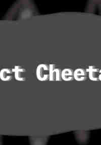 Project Cheetah V8