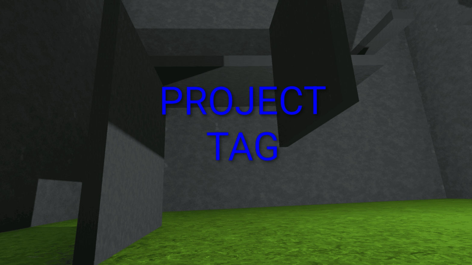 Project Tag