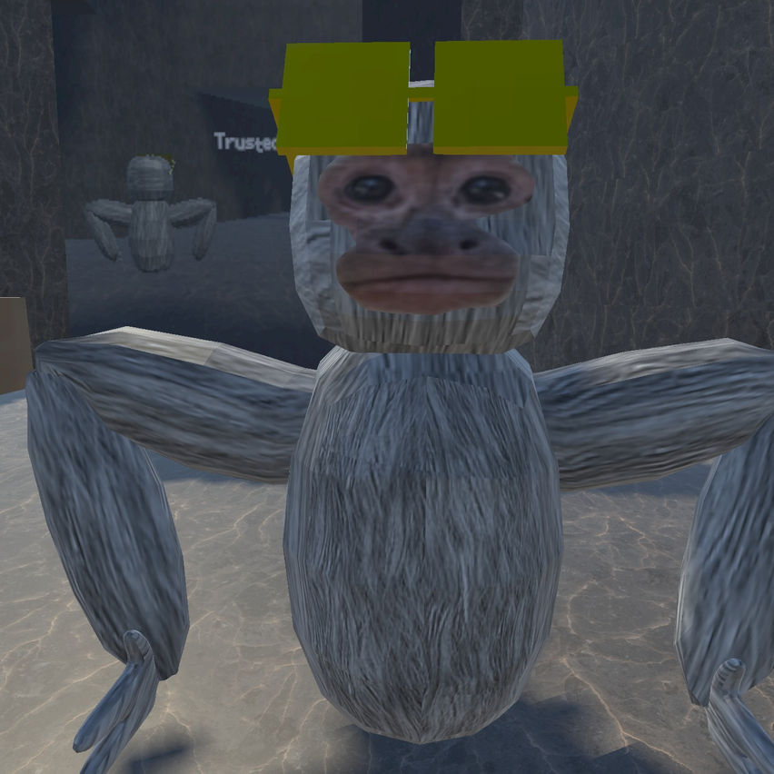 Spider Monkes