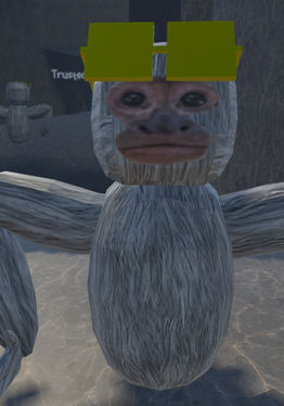 Spider Monkes