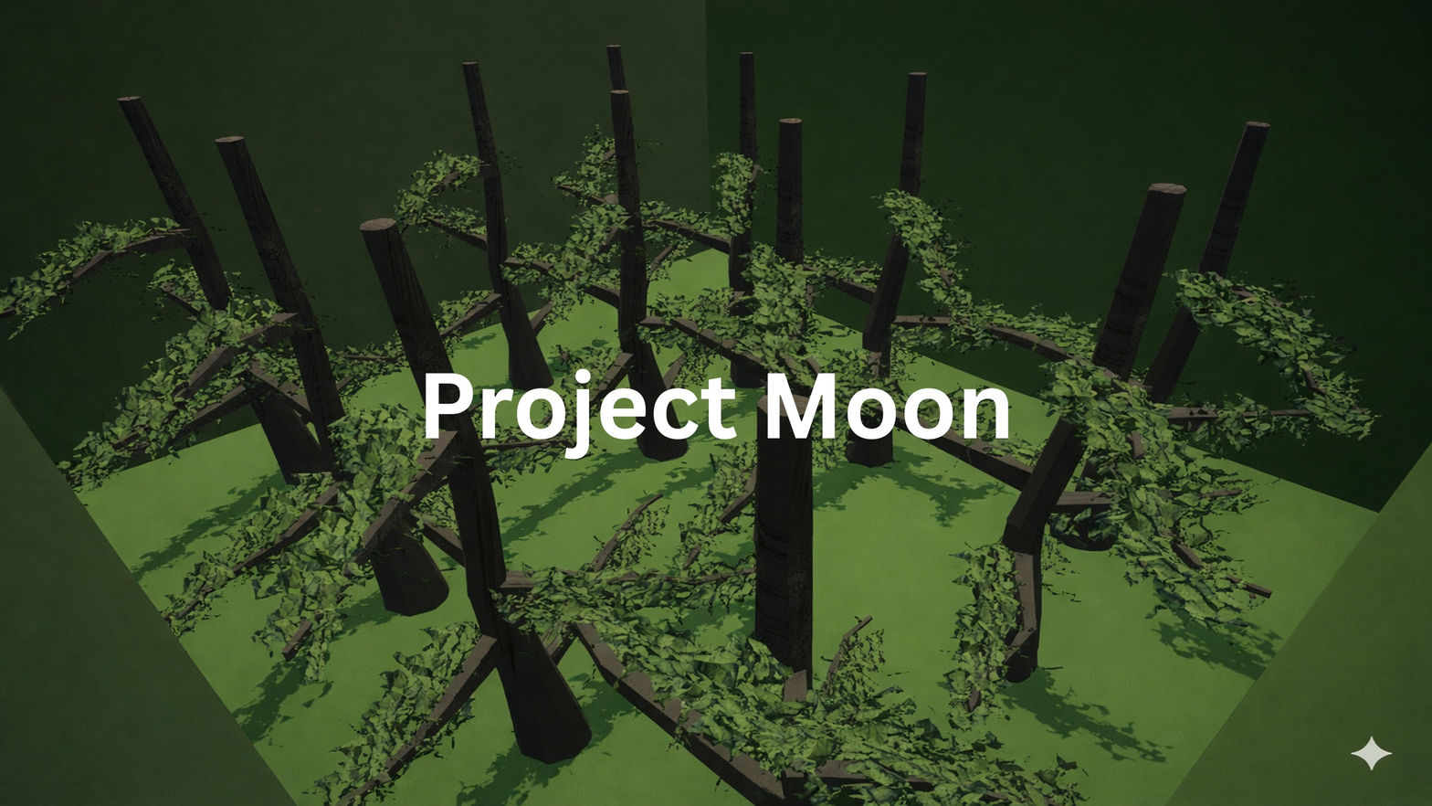 Project Moon