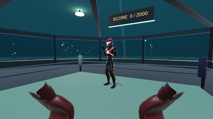 Robot Boxing VR
