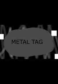 Metal Tag