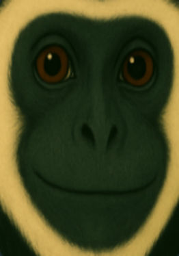 Colobus Game 2