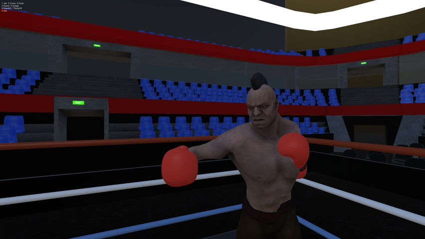 On the Ropes: Boxing VR