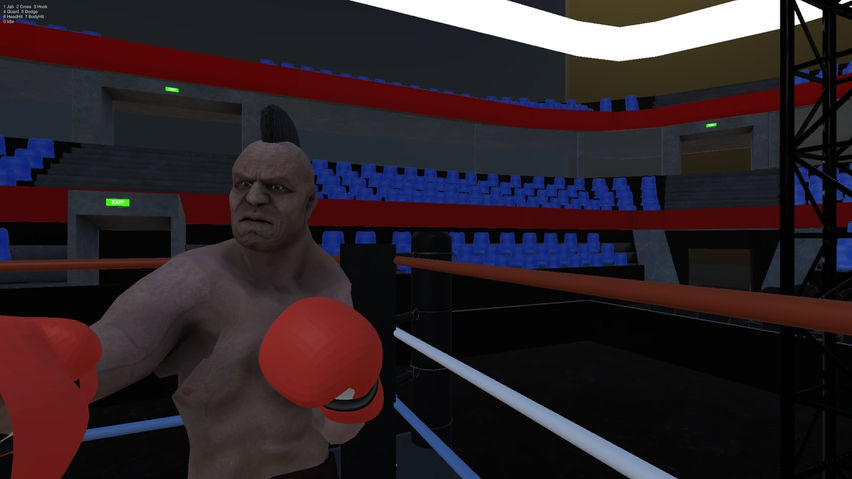 On the Ropes: Boxing VR