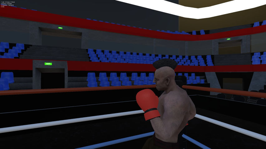 On the Ropes: Boxing VR