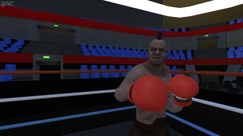 On the Ropes: Boxing VR