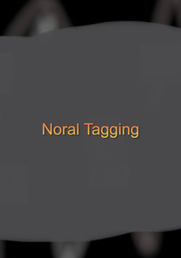 Noral Tagging