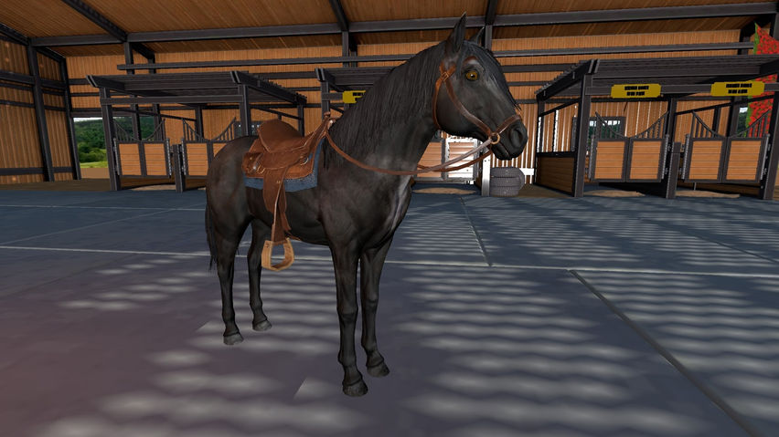 Horse Racing VR: Riding Simulator