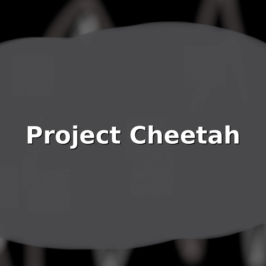 Project Cheetah