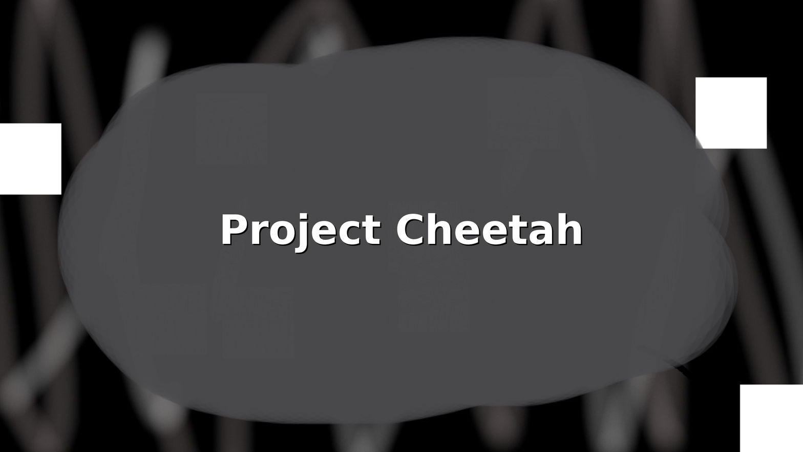 Project Cheetah