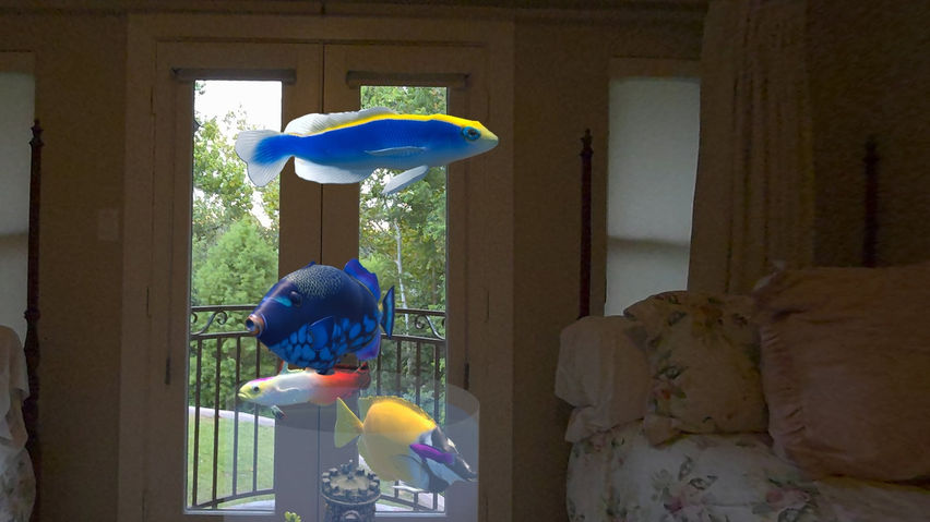 Magic Goldfish Bowl AR