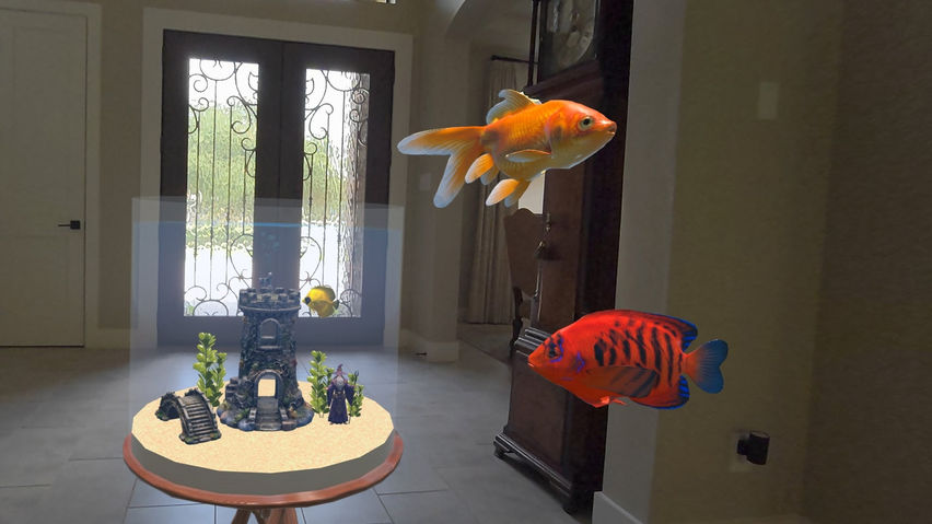 Magic Goldfish Bowl AR