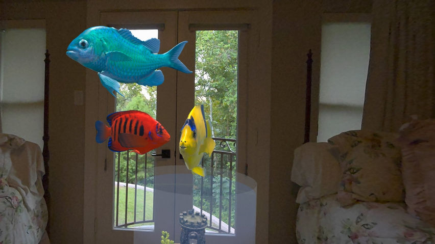 Magic Goldfish Bowl AR