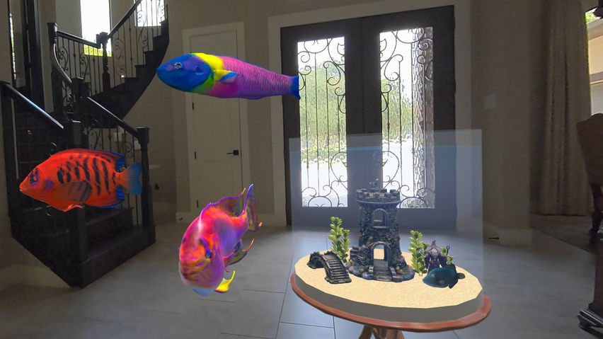 Magic Goldfish Bowl AR