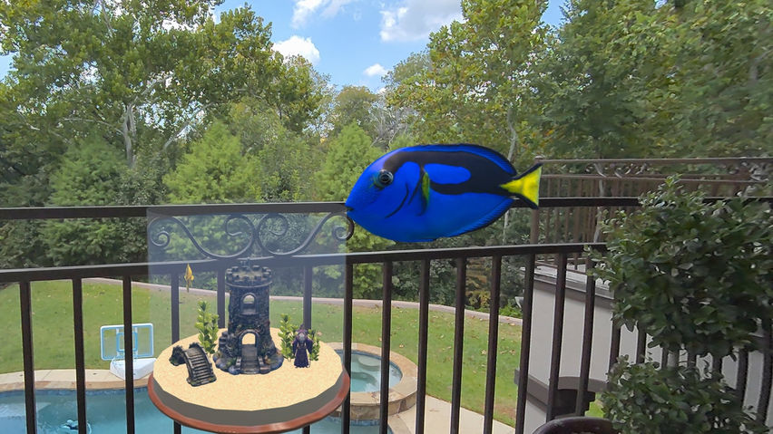 Magic Goldfish Bowl AR