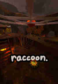 Raccoon