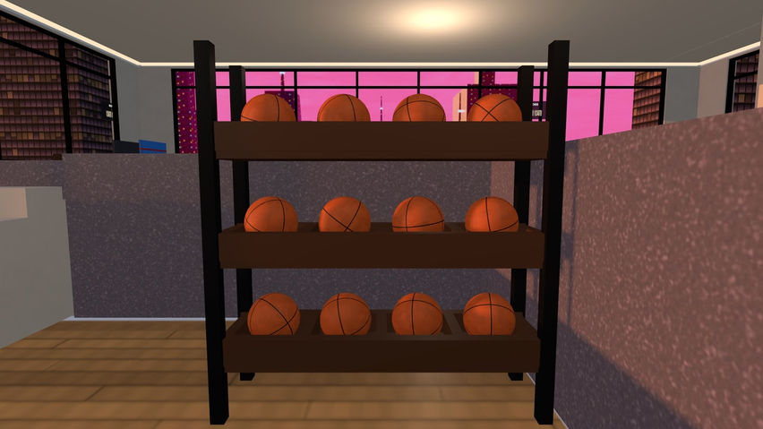 Penthouse Basketball 2