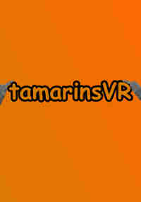 Tamarins VR