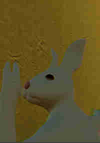 Usagi Nightmare