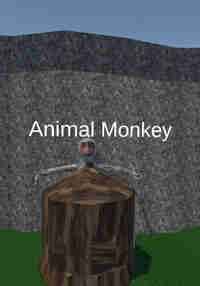 Animal Monkey