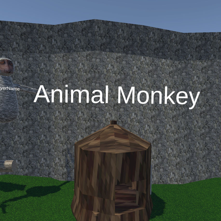 Animal Monkey