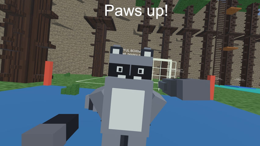 Raccoon Mayhem