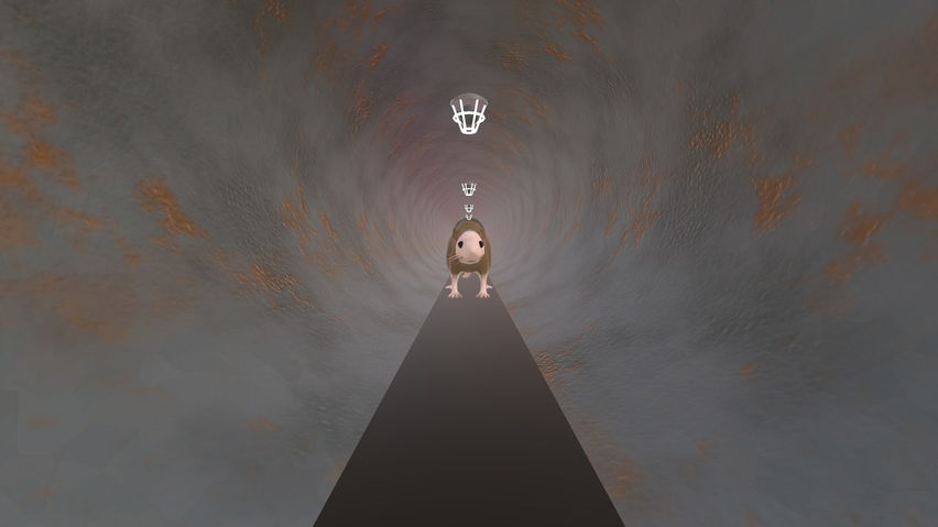 Rat Simulator