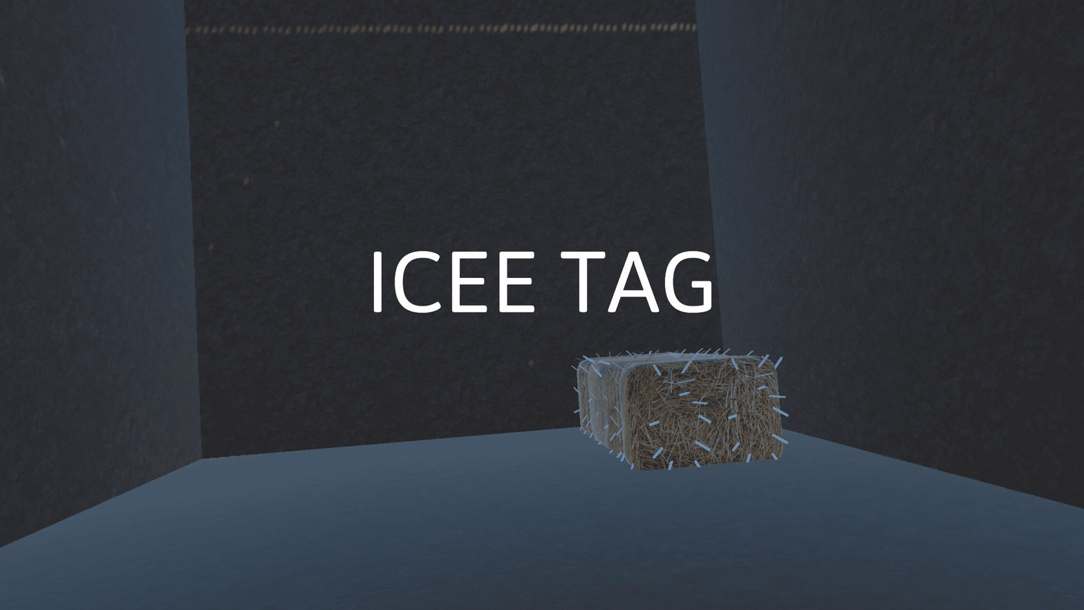 icee tag