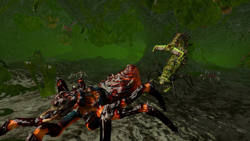 Swarmwake