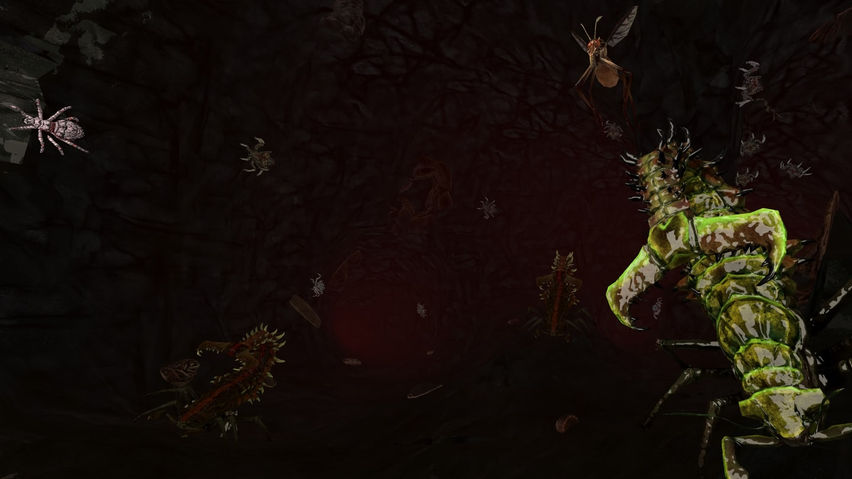 Swarmwake