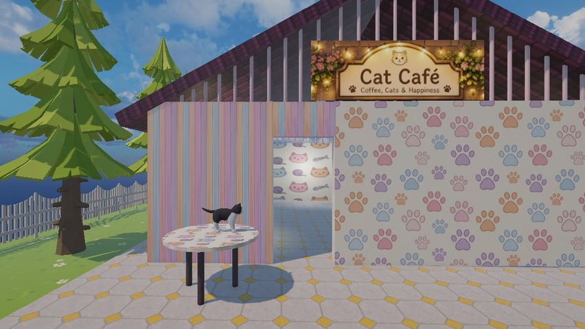 Cat Photographer