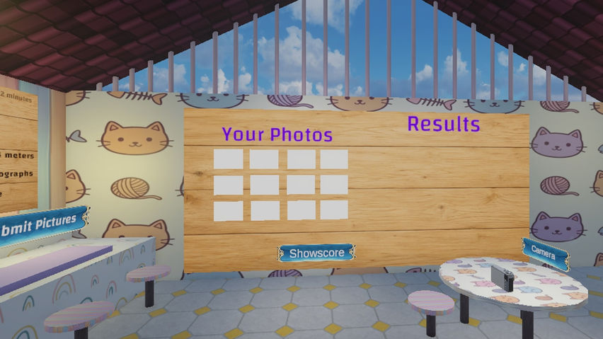 Cat Photographer