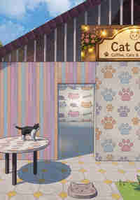 Cat Photographer