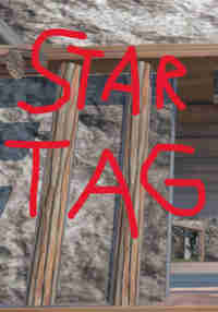 Star Taggers