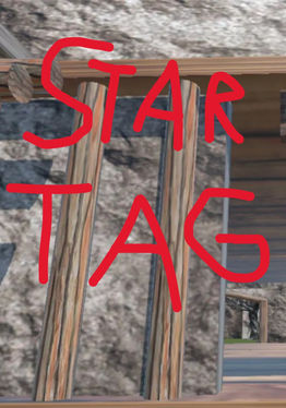 Star Taggers