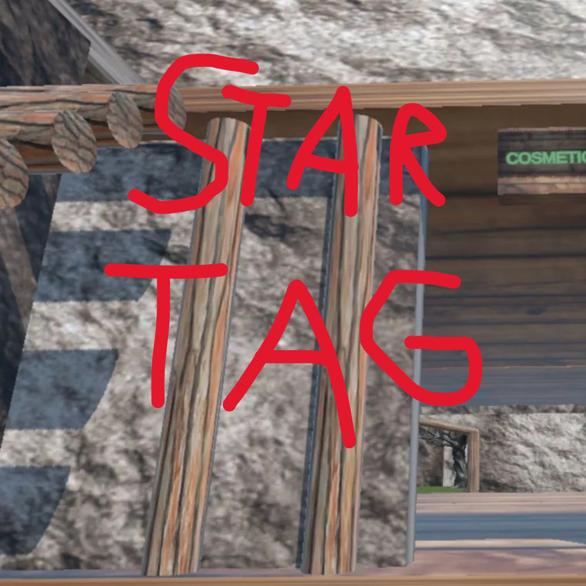 Star Taggers