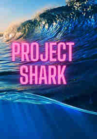 Project Shark