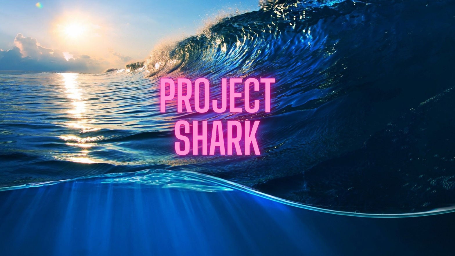 Project Shark