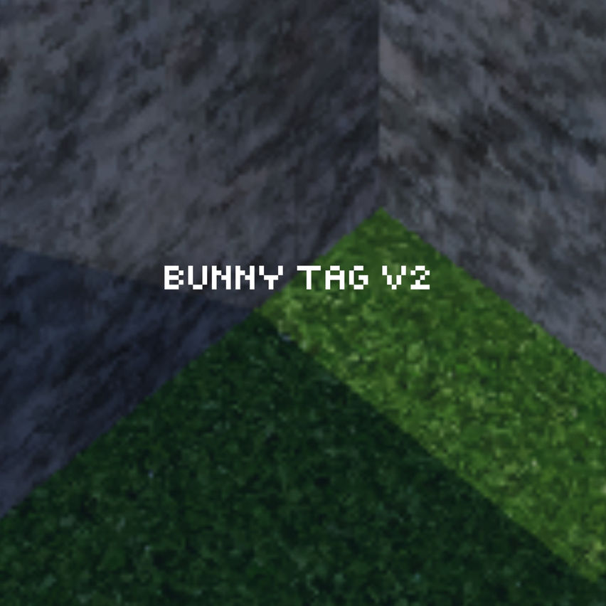 Bunny Tag V2