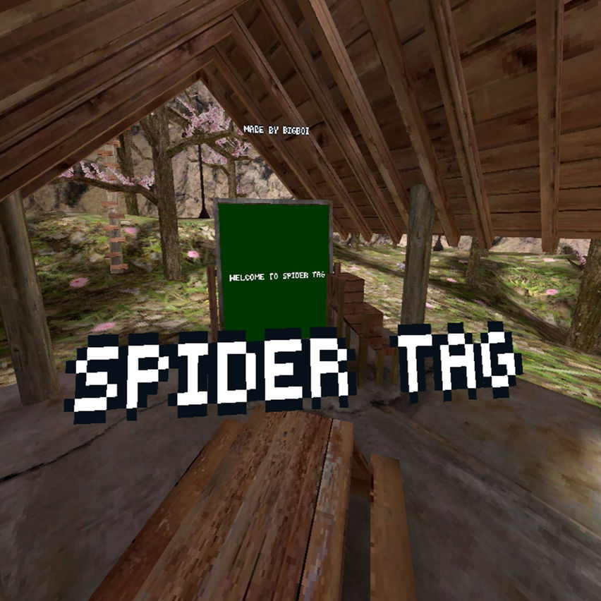 Spider tag