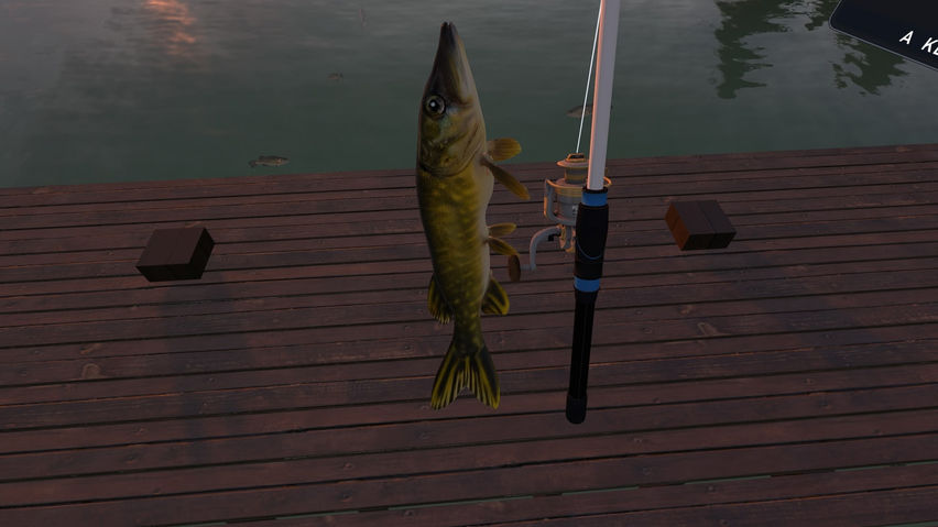 Fishing Simulator Online