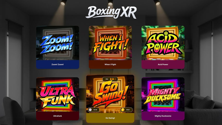 Boxing XR