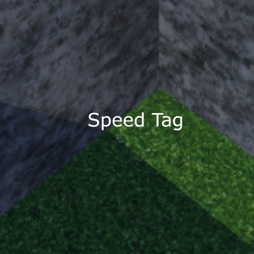 Speed Tag