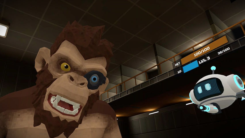 Faceless Ape Corp